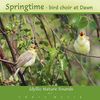 CD : Idyllic Nature Sounds : Springtime Bird Choir