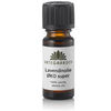 Urteg&aring;rden - Lavendinolie &oslash;kologisk super - 10 ml.