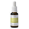 FaceSerum Vitaminic - 20 ml.