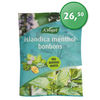 Islandica menthol bonbons A. Vogels - 75 gram