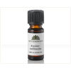 Urteg&aring;rden - Kryddernellikeolie , 10 ml.