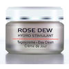 A. B&ouml;rlind - Rose Dew Day Cream - 50 ml.