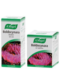 Boldocynara - 100 ml.