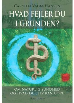 Hvad fejler du i grunden? - Carsten Vagn Hansen