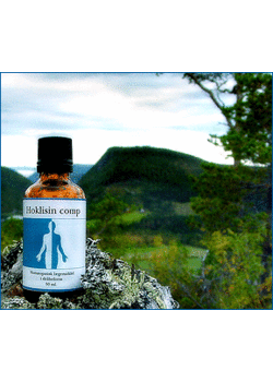 Hoklisin Comp. 50 ml.