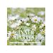 CD - Pushkar : Inner Harvest