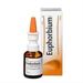Euphorbium comp. N&aelig;sespray - 20 ml.