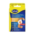 Scholl