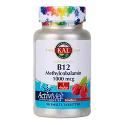 B12 Methylcobalamin 90 tabletter