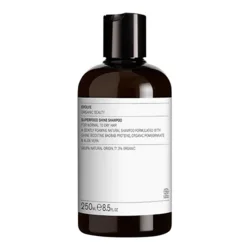 Evolve Shampoo Superfood Shine - 250 ml