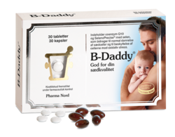 B-Daddy - 60 stk