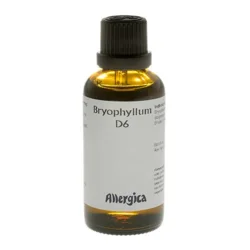 Bryophyllum D6 - 50 ml.