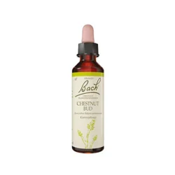 Bach Kastanieknop - 10 ml.