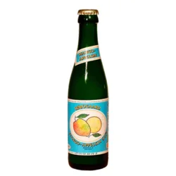 Mango-appelsin Saft Øko. - 25 cl.