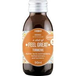Fermenteret gurkemejeshot Øko. - 90 ml.