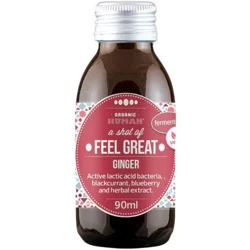 Fermenteret ingefærshot Øko. - 90 ml.