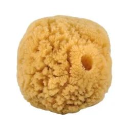 Natursvamp 10-12 cm - 1 stk