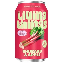 Rhubarb & Apple Soda - 330 ml.