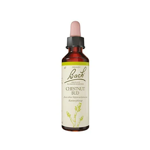 Bach Kastanieknop - 10 ml.