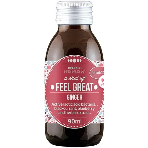 Fermenteret ingefærshot Øko. - 90 ml.