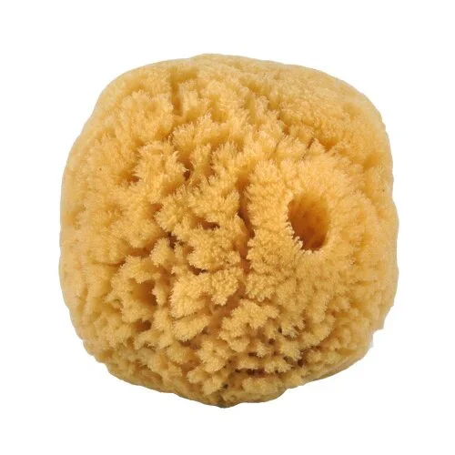 Natursvamp 10-12 cm - 1 stk