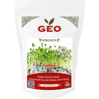 Broccoli Raab til spiring Ø - 500 g.