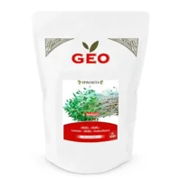 Lucernefrø til spiring Ø - 500 g.