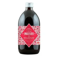 HUMAN Ginger shot Økologisk - 500 ml.