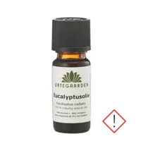 Eucalyptusolie - 10 ml.