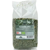 Ramsløg Ø