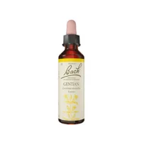Bach Ensian - 10 ml.
