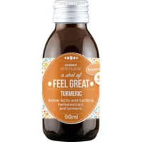 Fermenteret gurkemejeshot Øko. - 90 ml.