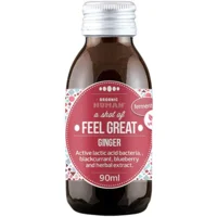 Fermenteret ingefærshot Øko. - 90 ml.