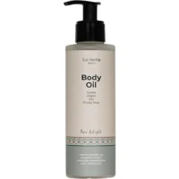 Luz Norte Body Oil