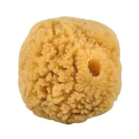 Natursvamp 10-12 cm - 1 stk