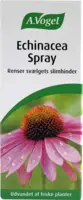 Echinacea Spray A. Vogel