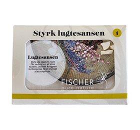 Styrk lugtesansen kit 2, 4 x10 ml æteriske olier Appelsin Ø, Pebermynte, Lavendel, Sandeltræ