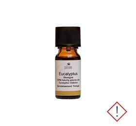 Billede af Eucalyptusolie æterisk øko - 10 ml (U)