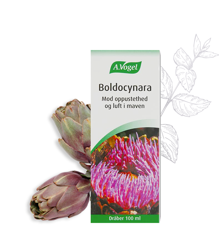 Billede af Boldocynara - 50 ml. hos Duft og Natur